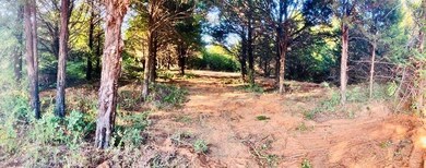 3E Forest Hills Dr, Gordonville, TX 76245 - photo 5