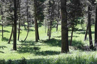 25 Upper Chief Joseph Trail, Big Sky, MT 59716 - photo 6