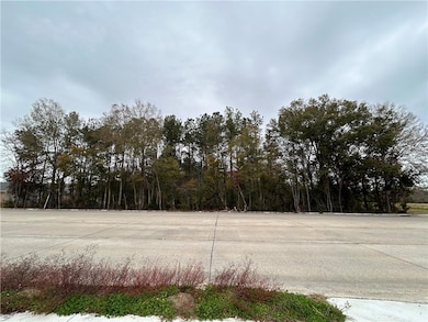 0 W University Ave, Hammond, LA 70401 - photo 2