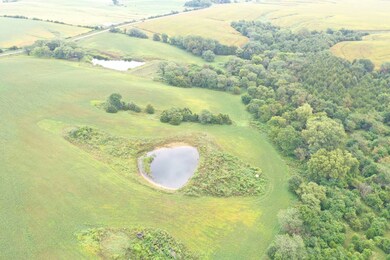 40 Acres Nw1 4 Nw 1 4 7-69-28, Ellston, IA 50074 - photo 4