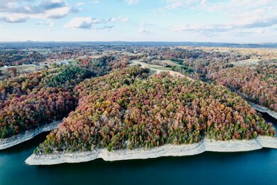 Tract 11 Newell Rd, Somerset, KY 42503 - photo 6