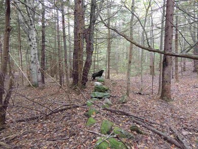 12-1123 Chapel Hill Rd, Whitingham, VT 05342 - photo 7