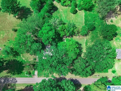 1153 Lake Dr SE, Bessemer, AL 35022 - photo 4