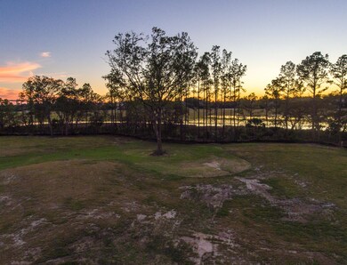 Captains Island Photos (7)