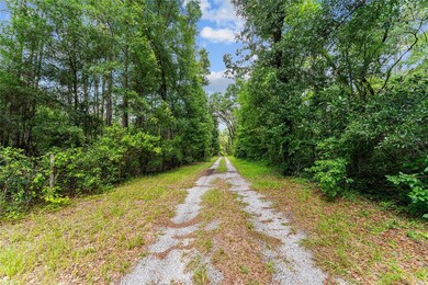 7708 SW 122nd St unit A, Gainesville, FL 32608 - photo 6