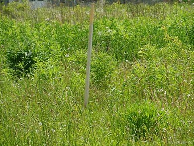 Exterior Front. Stake on lot.
