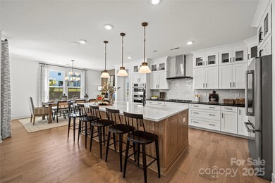 5361 Mint Harbor Way unit 301, Charlotte, NC 28269 - photo 5