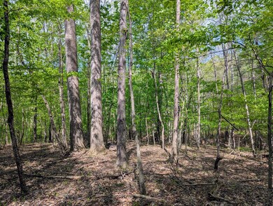 0 Trent Store Rd unit 99494, Spencer, VA 24165 - photo 6