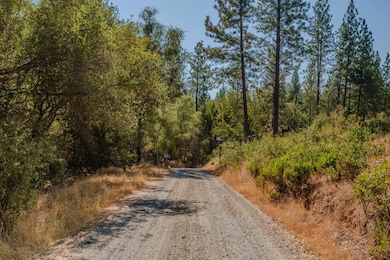 18862 American Flat Rd, Fiddletown, CA 95629 - photo 2