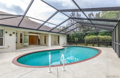 Beautiful private back yard pool and lanai!