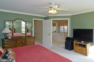 4809 Daisey Creek Terrace, Beltsville, MD 20705 - photo 5