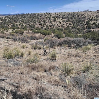 1112 Mountain View Rd, Silver City, NM 88061 - photo 2