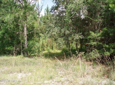 3381 3rd St, Elkton, FL 32033 - photo 3
