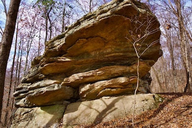 323A White Oak Flatt Rd, Sparta, TN 38583 - photo 3