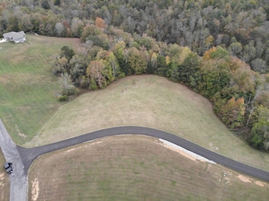 0 Quail Run unit RTC3043048, Byrdstown, TN 38549 - photo 5