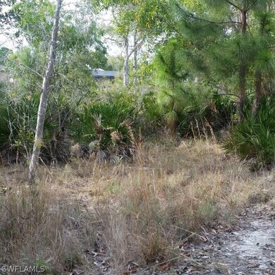 11911 Oakland Dr, Pine Island Center, FL 33922 - photo 2