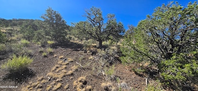 20202016v No Name Rd, Williams, AZ 86046 - photo 3