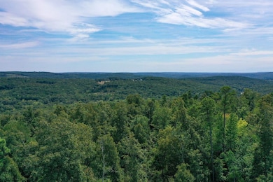 000 Highway 16 E, Clinton, AR 72031 - photo 3