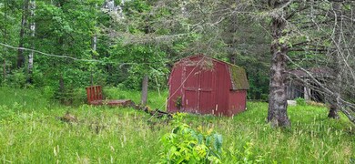 TBD 40 Crane Lake, Crane Lake, MN 55725 - photo 5