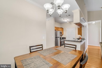 4561 Strutfield Ln unit 3414, Alexandria, VA 22311 - photo 6