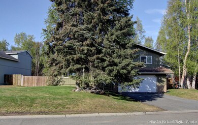 Large Trees In Front Yard