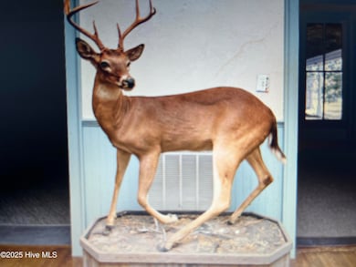 209 E River St, Colerain, NC 27924 - photo 6