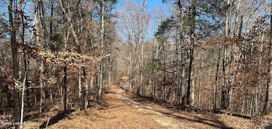 L32 Ted Logsdon Rd, Clarkson, KY 42726 - photo 2