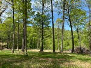 Tract H Ar 7 S, Jasper, AR 72641 - photo 5