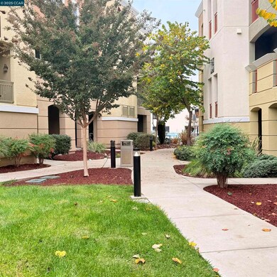 4704 Norris Canyon Rd unit 101, San Ramon, CA 94583 - photo 5