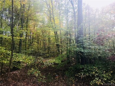 0 Courthouse Rd unit 1738688, Louisa, VA 23093 - photo 2