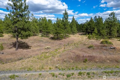 35410 Prairie Ln N unit Lot 4, Creston, WA 99117 - photo 5