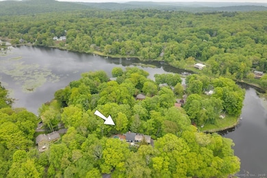 Aerial view of Fox Hill Lake and the serene lakefront location of the home.
