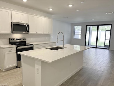 27831 Solis Grande Dr, Bonita Springs, FL 34135 - photo 2