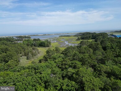 9321 Mountain Laurel Ct, Berlin, MD 21811 - photo 6