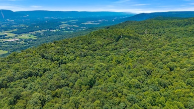 18.69 Ac Windridge Dr, Dunlap, TN 37327 - photo 4