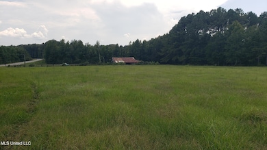 273 Vincetown Rd, Sandy Hook, MS 39478 - photo 7