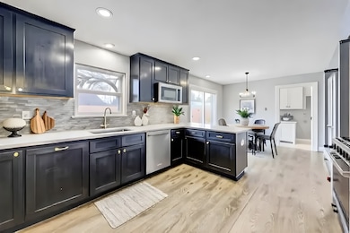 Fabulous gourmet kitchen, pretty marble backsplash