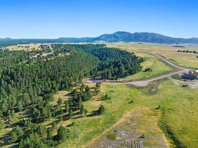 Lot 19 Block 1 Cedar Berry Cir, Spearfish, SD 57783 - photo 5