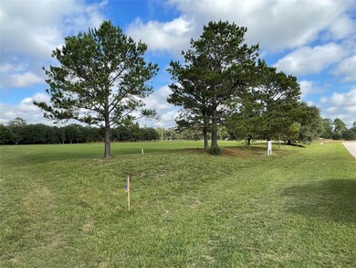 Lot 3 Meadow Lake, Magnolia, TX 77355 - photo 2