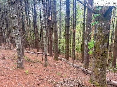 25 Davis Acres Dr, West Jefferson, NC 28694 - photo 2