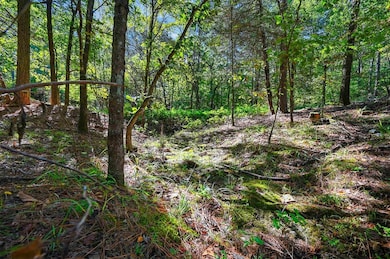 499 Hiddenwater Rd, Broken Bow, OK 74728 - photo 4