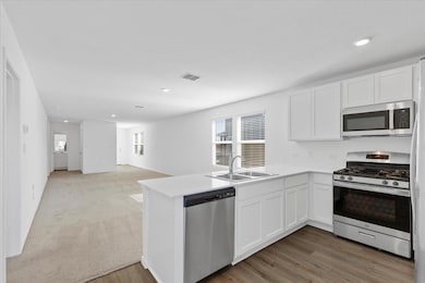 210 Chapel Beck Dr, Kyle, TX 78640 - photo 4