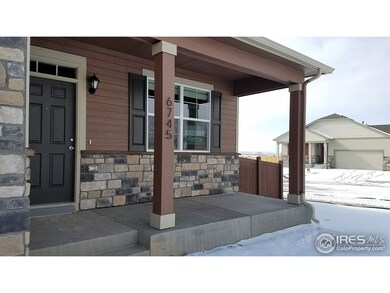6745 Covenant Ct, Timnath, CO 80547 - photo 2