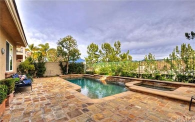 Gorgeous backyard with pool and spa, exquisite sto