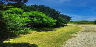 43129 Mountain Sage Dr, Whitney, TX 76692 - photo 2