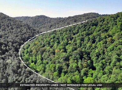 unlisted-address, Jacksonburg, WV 26377 - photo 2