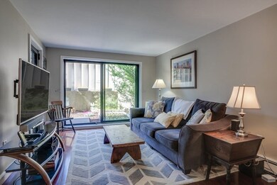 321 Harvard St unit 210, Cambridge, MA 02139 - photo 6