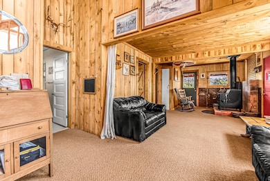 4220 Red Bluff Rd, Glade Park, CO 81523 - photo 4