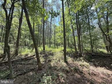 0 14 5 Ac Pcl A- Off Virginia Line Rd, Berkeley Springs, WV 25411 - photo 3
