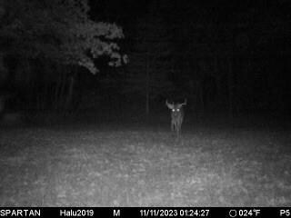 W9395 County Road C, Orange, WI 54618 - photo 2